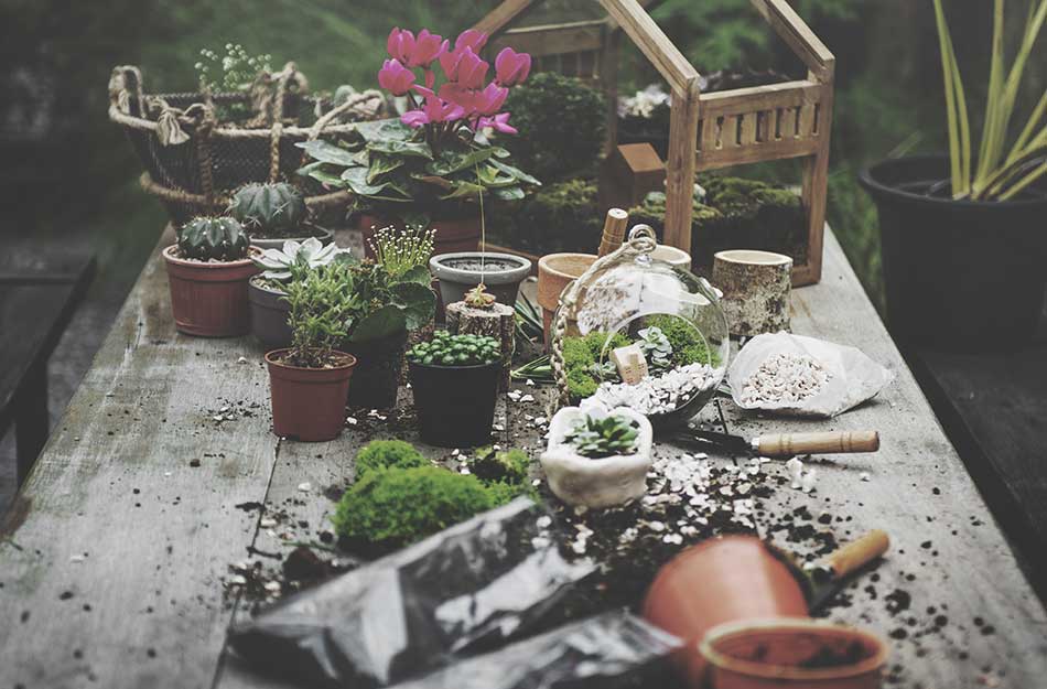 MowTRIM-Garden-Services-and-Landscaping-contact-950x625px