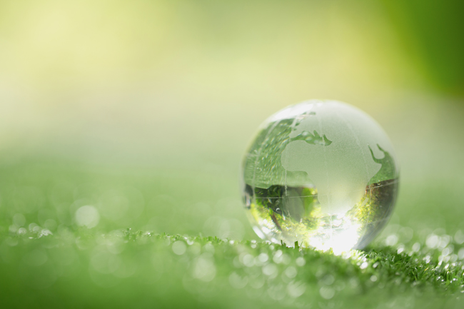 MowTRIM-environmental-management-650x433px